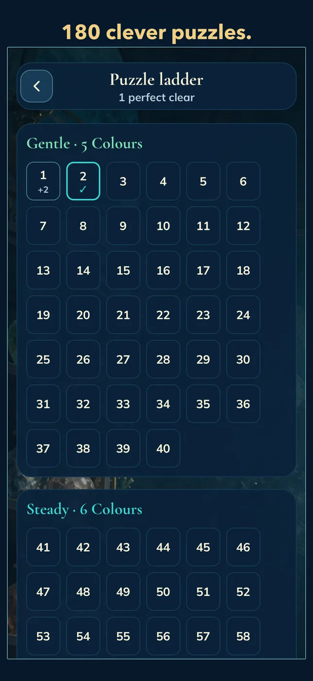 180 clever puzzles.